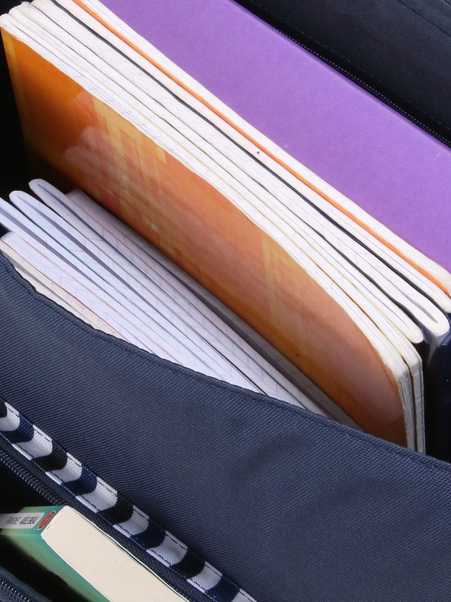 Cartable à Roulettes Tann's Les Fantaisies Hugo 38 Cm – Image 11