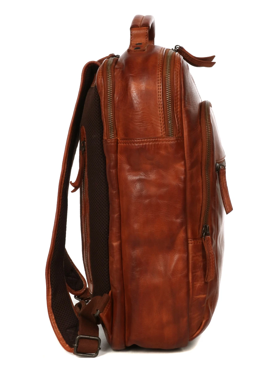 Sac à Dos Ordinateur Bear Design Cow Lavato Ties 14 Pouces – Image 6