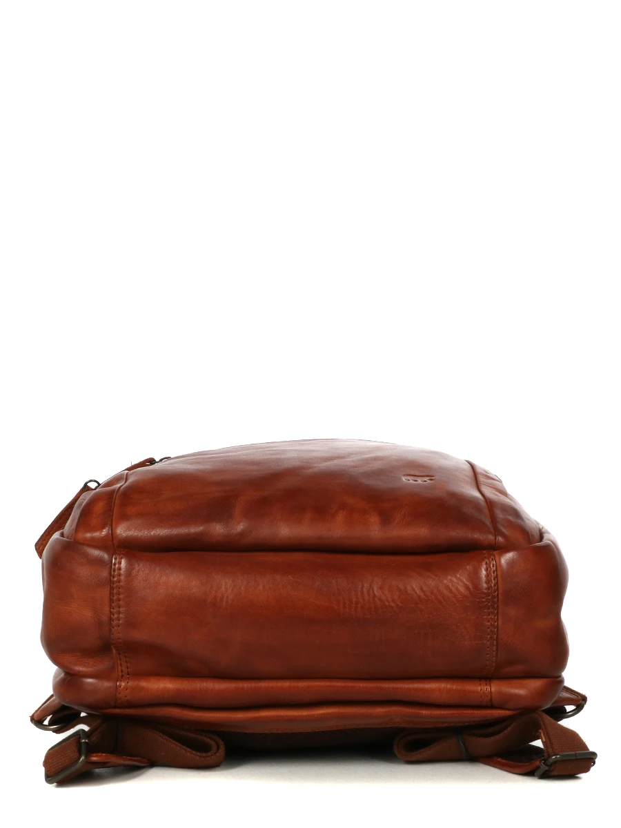 Sac à Dos Ordinateur Bear Design Cow Lavato Ties 14 Pouces – Image 8