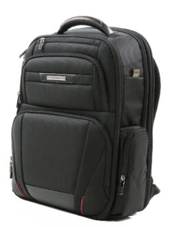 Sac à Dos Ordinateur Samsonite Pro DLX 5 - 17.3 Pouces